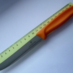 Нож для овощей VICTORINOX SWISSCLASSIC TOMATO&TABLE 6.7836.L119